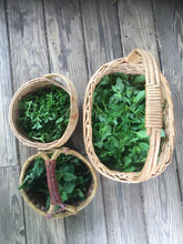 Load image into Gallery viewer, Handcrafted herbal tea blend, made to order with 33 natural herb options, perfect for gifts.