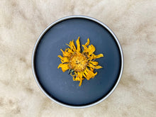 Load image into Gallery viewer, Natural Skin Salve – Black Drawing Salve with Organic Coconut Oil and Olive Oil for Nourishing and Protecting Skin.