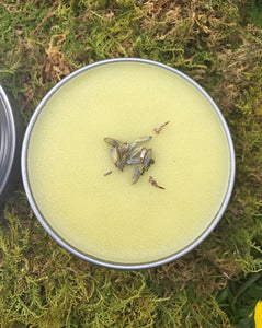 All Purpose Salve ~ for Cuts, Burns, & Stings, Body Butter + Lip Balm Gift for Gardeners and Outdoor Enthusiasts