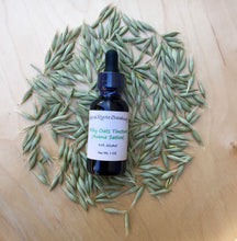 Load image into Gallery viewer, Milky Oats Extract | Made Fresh with Homegrown Milky Oats