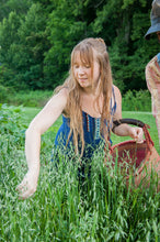 Load image into Gallery viewer, Milky Oats Extract | Made Fresh with Homegrown Milky Oats