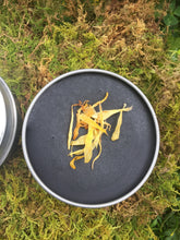 Load image into Gallery viewer, Organic Black Drawing Salve – Charcoal and Clay Balm for Skin Care, Blemishes, and Irritations with Calming Lavender and Frankincense.