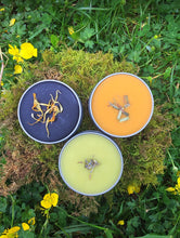 Load image into Gallery viewer, Herbal salve set with organic and wildcrafted ingredients like calendula, lavender, and plantain leaf, offering a natural alternative for minor skin care needs.