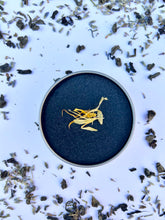 Load image into Gallery viewer, Hydrating and nourishing skin salve made with organic coconut oil, olive oil, and Appalachian beeswax for soft, smooth skin.
