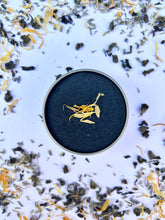Load image into Gallery viewer, Hydrating Black Drawing Salve made with organic coconut oil, olive oil, and beeswax to support soft and protected skin.
